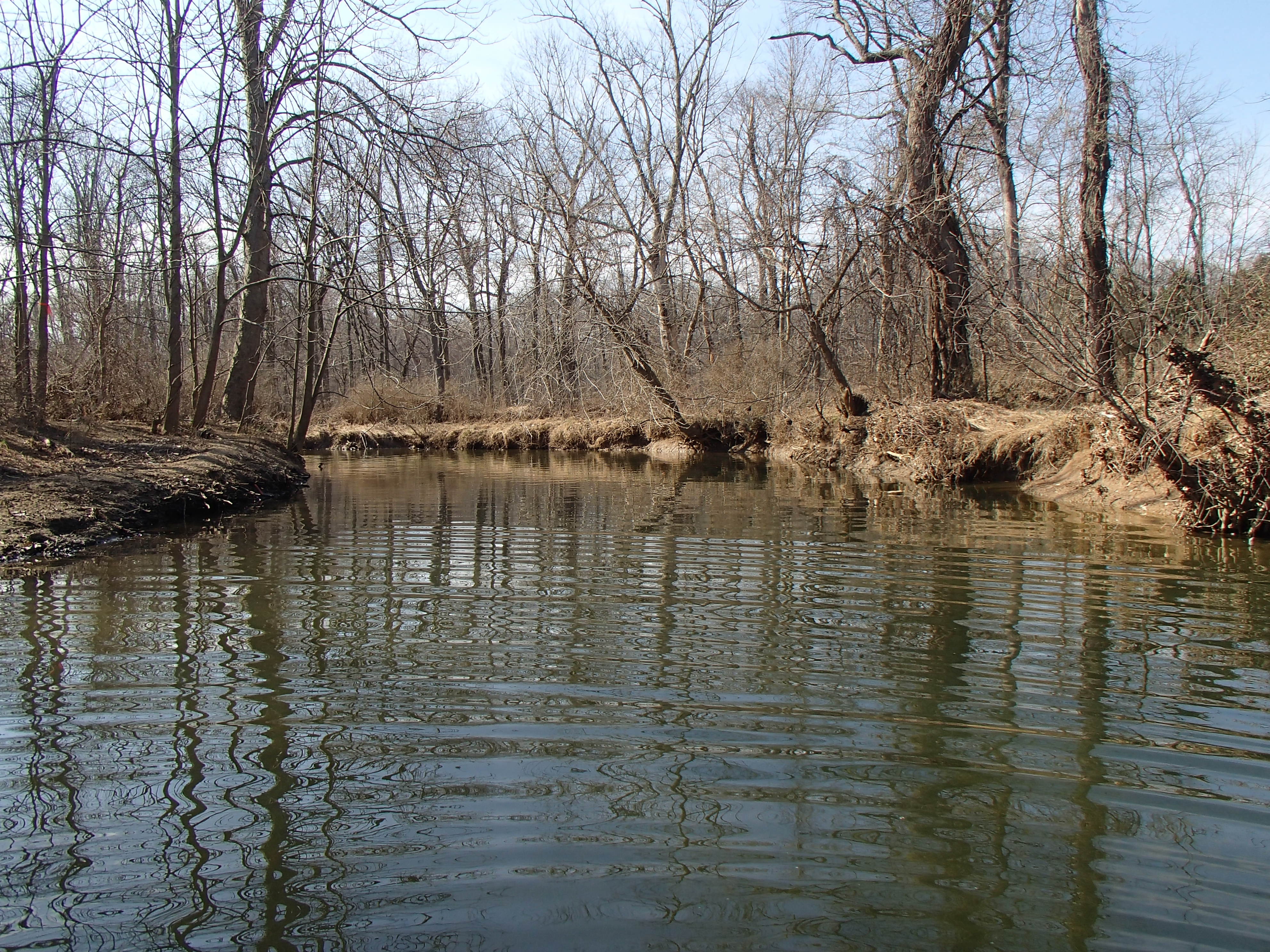 Field photo showing stream conditions at site BYNU-207-R-2016_midpoint upstream
